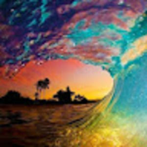 Meet your Posher, Opal